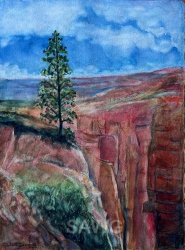 One Lone Tree in the Canyon by Robert Jennette